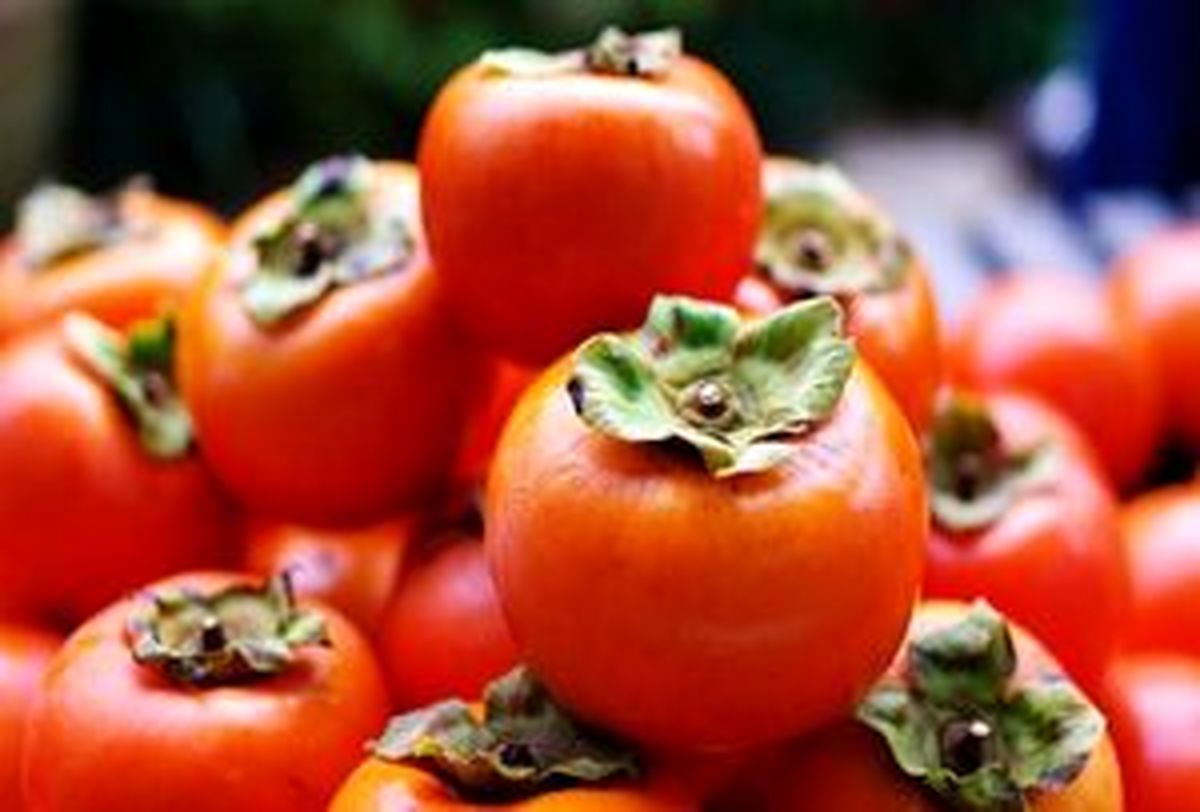خرمالو با رنگ نارنجی سرشار از بتاکارتن است.. +مطلب داغ