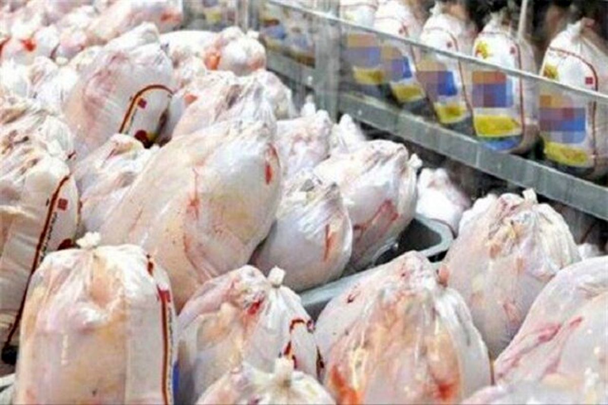 قیمت مرغ امروز 4 اردیبهشت 1401| مرغ گران تر شد